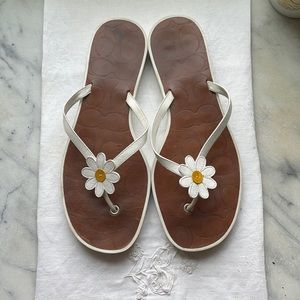 Coach Lucie daisy flip flops